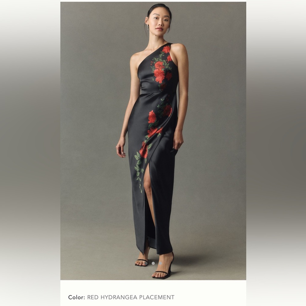 BHLDN black red hydrangea floral Gown